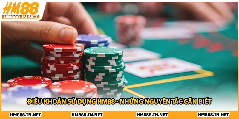 Tổng hợp một vài điều khoản sử dụng HM88