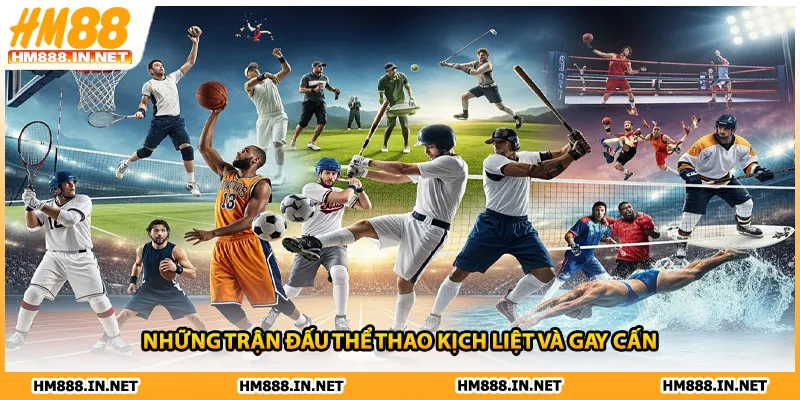 Những trận đấu thể thao kịch liệt và gay cấn