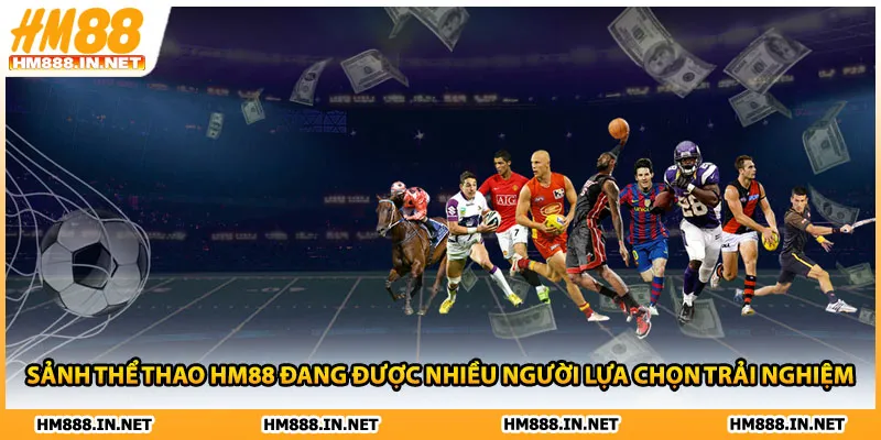 Sảnh thể thao HM88 đang được nhiều người lựa chọn trải nghiệm